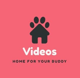 Video Bokep-indo Remaja Terbaru Indonesia